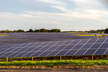 Brezilya 'da güneş çiftliği. Yeşil enerji için güneş enerjisi. Sürdürülebilir yenilenebilir enerji. Fotovoltaik elektrik santrali ya da güneş parkı. Güneş paneli kurulumu ve bakım konsepti. Enerji sürdürülebilirliği.