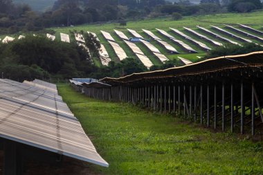 Brezilya 'da güneş çiftliği. Yeşil enerji için güneş enerjisi. Sürdürülebilir yenilenebilir enerji. Fotovoltaik elektrik santrali ya da güneş parkı. Güneş paneli kurulumu ve bakım konsepti. Enerji sürdürülebilirliği.