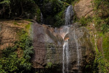 Brezilya 'da bir Atlantik Ormanı' nın iç kısımlarında bir şelale oluşturmak için bir dereden kayaların üzerine dökülür.