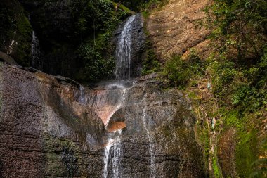 Brezilya 'da bir Atlantik Ormanı' nın iç kısımlarında bir şelale oluşturmak için bir dereden kayaların üzerine dökülür.