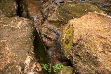 Brezilya 'daki Atlantik Ormanı' ndaki bir şelalenin yanındaki kayalık yarığın içindeki su.