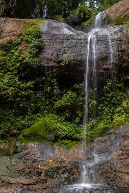 Brezilya 'da bir Atlantik Ormanı' nın iç kısımlarında bir şelale oluşturmak için bir dereden kayaların üzerine dökülür.