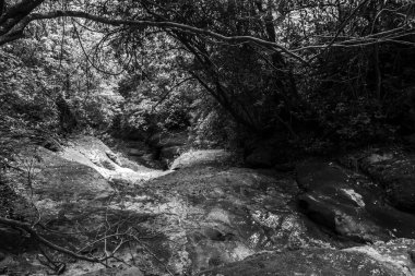 Brezilya 'da Atlantik Ormanı' nın ortasında kayaların arasında siyah beyaz bir dere oluştu.