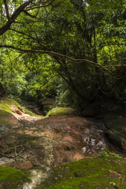 Brezilya 'da Atlantik Ormanı' nın ortasındaki kayaların arasında küçük bir dere oluştu.