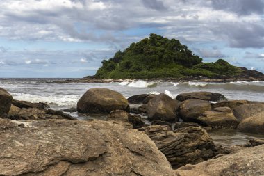 Kayalıklarda kayalık tropikal kıyılar ve görünen midyeler (Cirripedia) var. Arka planda, yemyeşil bir ada bu kıyı manzarasına derinlik katıyor..