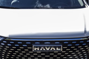 Sao Paulo, SP, 22 Ocak 2025. Ön ızgaranın ve Haval arabasının logosunun yakın çekimi. Markanın modern tasarımını vurgular