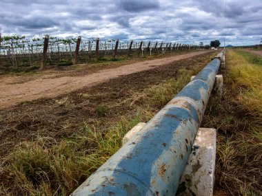 Bulutlu bir gökyüzünün altında, Sao Francisco Nehri Vadisi 'nin sulama sisteminin bir parçası olan su borularını aydınlatan bir bağ. Görüntü yarı kurak tarımın zorluklarını temsil ediyor.
