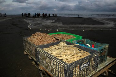 Peruibe, SP, Brezilya, 15 Ocak 2025. Geleneksel Brezilya sahili balık tutma sahnesi. Halatlar, ağlar ve balıkçılar Caicara kültürünü somutlaştırıyor.