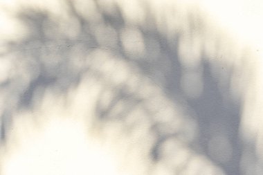Yaprak gölgesi ışık yüzeyine yansıtılıyor. Işık fenomeni, doğa etkileşimi veya soyut arkaplan oluşturmak için kullanışlıdır.