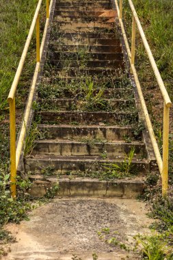 Sarı korkuluklu beton merdivenler, kısmen yabani otlarla kaplı. Zamanın geçişini, terk edilmesini ve doğanın esnekliğini anımsatıyor..