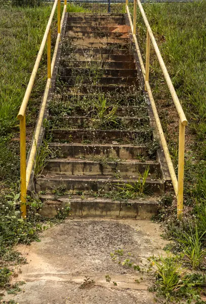 Sarı korkuluklu beton merdivenler, kısmen yabani otlarla kaplı. Zamanın geçişini, terk edilmesini ve doğanın esnekliğini anımsatıyor..
