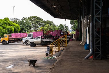 Marilia, Sao Paulo, Brezilya, 24 Nisan 2025. Bir işçi, Marilia şehrindeki bir meyve ve sebze deposunda bulunan bir kamyondan domates dolu plastik kutuları boşaltıyor..