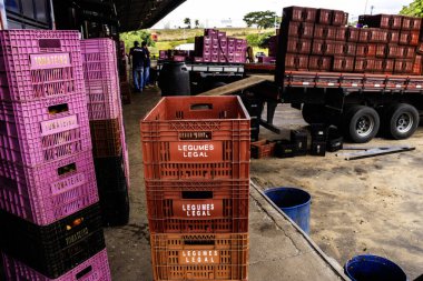 Marilia, Sao Paulo, Brezilya, 24 Nisan 2025. CEAGESP gıda dağıtım merkezi, özellikle yeni ürünlerin organizasyonu ve nakliyesine odaklanmıştır.