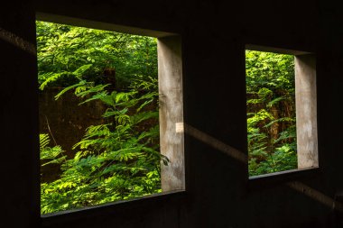 Yeşillik bitki örtüsünü çerçeveleyen, mimariyle doğayı harmanlayan iki pencere. Terk edilme, yenilenme ve çevresel dayanıklılık temalarını anımsatıyor