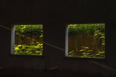 Yeşillik bitki örtüsünü çerçeveleyen, mimariyle doğayı harmanlayan iki pencere. Terk edilme, yenilenme ve çevresel dayanıklılık temalarını anımsatıyor