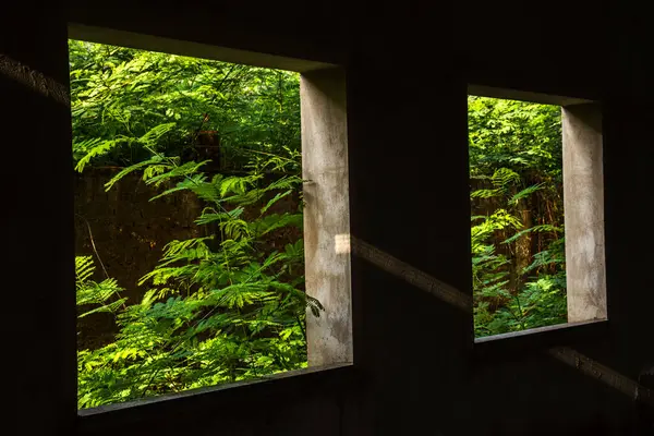 Yeşillik bitki örtüsünü çerçeveleyen, mimariyle doğayı harmanlayan iki pencere. Terk edilme, yenilenme ve çevresel dayanıklılık temalarını anımsatıyor