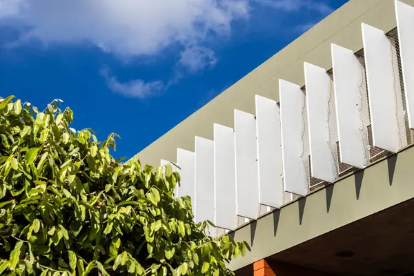 Doğa ve mimari arasındaki etkileşimi gösteren resimler. Gri tuğla duvarlar, yemyeşil alanlar, palmiye ağaçları ve modern bina detayları. Kentsel tasarım ve sürdürülebilirliği göstermek için ideal