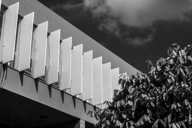 Siyah ve beyaz mimari detay. Brises soleil ve yemyeşil bitki örtüsü. Işık kontrolü ve sürdürülebilir mimariye odaklı modern bina tasarımı.