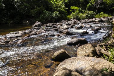 Brezilya 'daki Atlantik Ormanı' nın koyu kayalar ve yemyeşil bitkileri arasında kıvrılan kristal berraklığında bir nehrin huzur veren güzelliği. Su berrak ve davetkar, güneş ışığını yansıtır..