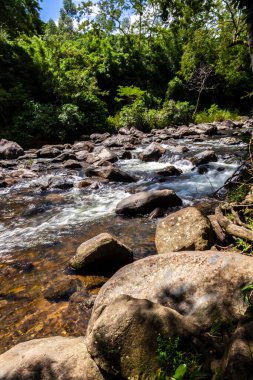 Brezilya 'daki Atlantik Ormanı' nın koyu kayalar ve yemyeşil bitkileri arasında kıvrılan kristal berraklığında bir nehrin huzur veren güzelliği. Su berrak ve davetkar, güneş ışığını yansıtır..