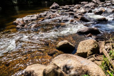 Brezilya 'daki Atlantik Ormanı' nın koyu kayalar ve yemyeşil bitkileri arasında kıvrılan kristal berraklığında bir nehrin huzur veren güzelliği. Su berrak ve davetkar, güneş ışığını yansıtır..
