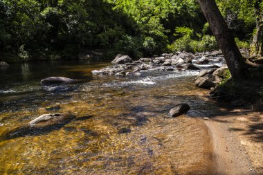 Brezilya 'daki Atlantik Ormanı' nın koyu kayalar ve yemyeşil bitkileri arasında kıvrılan kristal berraklığında bir nehrin huzur veren güzelliği. Su berrak ve davetkar, güneş ışığını yansıtır..