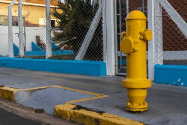 Canlı sarı yangın musluğu, tel örgü ve tuğla duvarlardan oluşan bir arka planda göze çarpıyor. Brezilya 'da kentsel güvenlik ve altyapıyı resmediyor