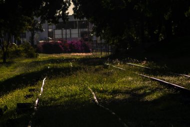 Aşırı gelişmiş tren rayları: Doğanın kentsel bozulmayı geri alması, metalin ve canlı bitkilerin zıtlaşması. Brezilya 'da zaman ve demiryolu terk edilmesini simgeliyor