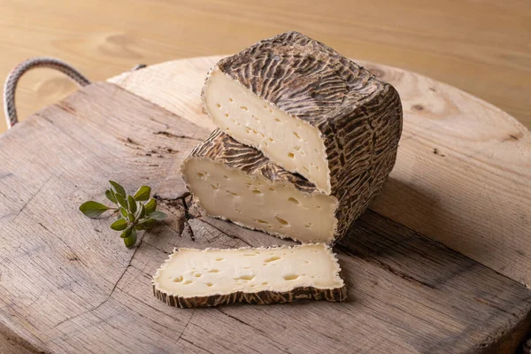 古い木の上で熟成させたチーズを締めくくり — ストック写真