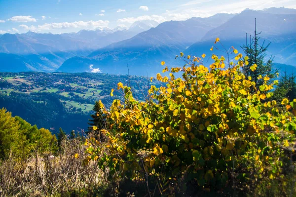 Anzere Les Grillesses Valais Szwajcarii — Zdjęcie stockowe