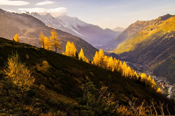 stock image pecleret in chamonix in haute savoie,france