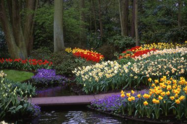 Bahçedeki güzel çiçekler