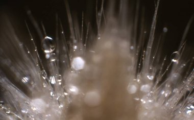 Bokeh ile soyut arkaplan