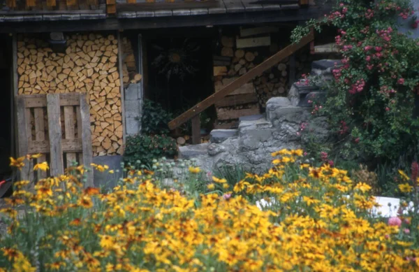 花园里一座木头房子的美丽景色 — 图库照片