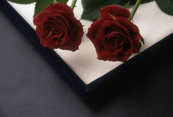 Rosas Vermelhas Sobre Fundo Preto — Fotografia de Stock