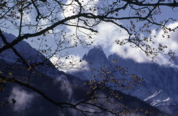 Schöne Landschaft Mit Einem Baum Und Einem Berg — Stockfoto