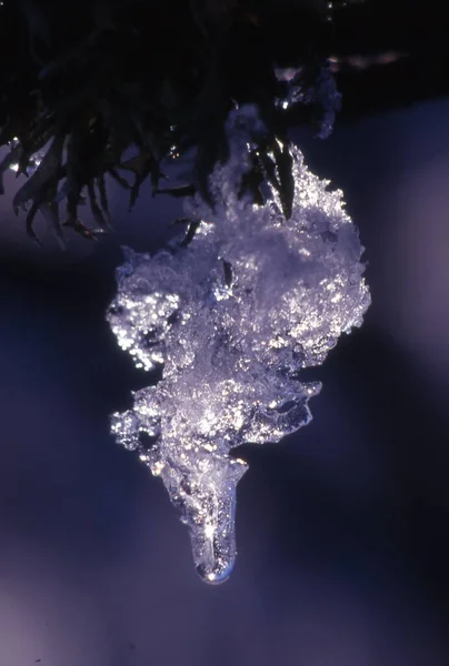 Jégkristályok Egy Üveg Ablak — Stock Fotó