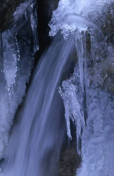 Kış Ormanındaki Kayalıklarda Buz Saçakları — Stok fotoğraf