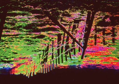 Ağaçlar ve yapraklarla dolu güzel sonbahar manzarası