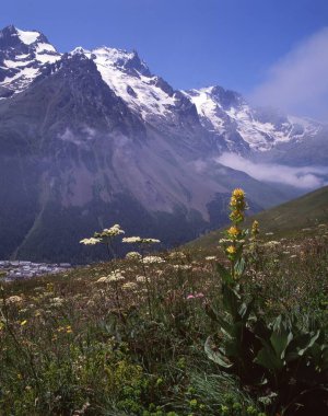Dağları ve mavi gökyüzü olan güzel bir manzara.