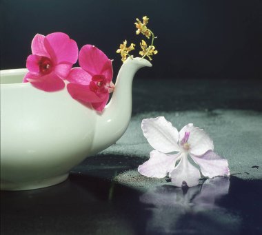 Pembe orkide çiçeği ve koyu arkaplanda bir fincan çay.