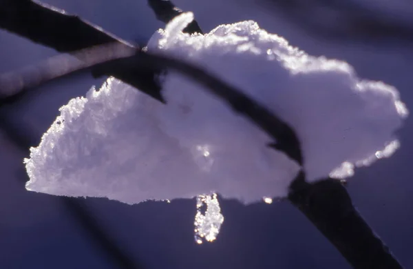 Eiskristalle Auf Dem Hintergrund Des Blauen Himmels — Stockfoto