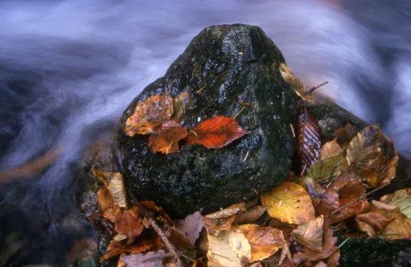 Nehirli Güzel Sonbahar Manzarası — Stok fotoğraf
