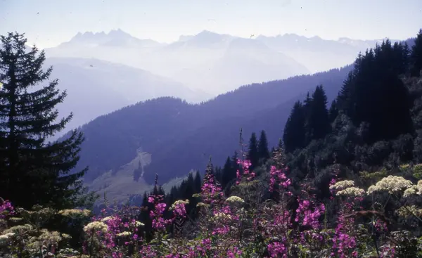 stock image beautiful landscape with a mountain in the mountains