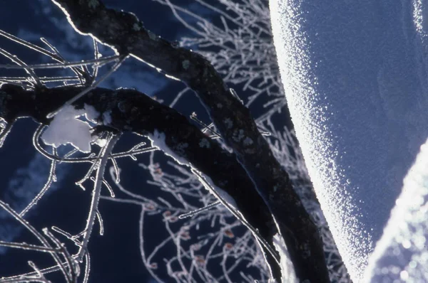 Fundo Abstrato Com Neve Gelo — Fotografia de Stock