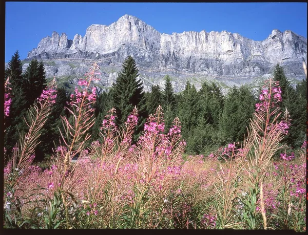 Beautiful Landscape Mountain Background — Stock Photo, Image