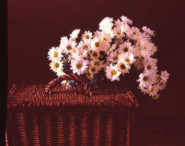 Beautiful Bouquet Flowers Basket Dark Background — Stock Photo, Image
