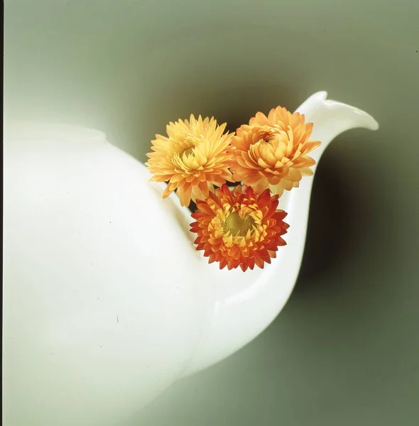Beautiful Flowers Vase White Background — Stock Photo, Image