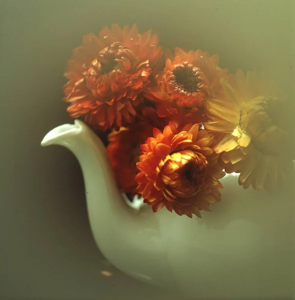 Beautiful Flowers Vase Wooden Background — Stock Photo, Image