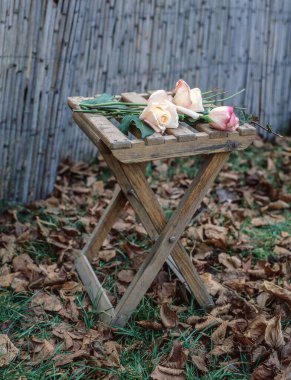 Bahçedeki güzel güller